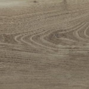 belfast walnut